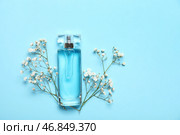 Бутылка парфюма с цветами гипсофилы на голубом фоне. Вид сверху. Стоковое фото, фотограф Pixel_shot / Фотобанк Лори