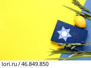Четыре вида (лулав, хадас, арава, этрог) как символы праздника Суккот и Тора на желтом фоне. Стоковое фото, фотограф Pixel_shot / Фотобанк Лори