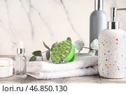 Массажная щетка для головы из силикона с бутылочками косметических продуктов, полотенцем и эвкалиптом на сером плиточном столе на фоне белого гранжевого фона. Стоковое фото, фотограф Pixel_shot / Фотобанк Лори