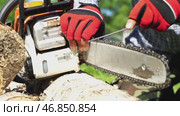 The master is engaged in sharpening the chain from a chainsaw. Стоковое видео, видеограф Igor Skripachev / Фотобанк Лори