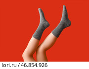 Ноги молодой женщины в теплых серых вязанных носках на красном фоне. Стоковое фото, фотограф Pixel_shot / Фотобанк Лори