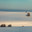 Landscape in a minimalist style. Hilly landscape covered with snow. There are dark silhouettes of trees in the foreground. A sunny winter day. Стоковое фото, фотограф Владимир Ендовицкий / Фотобанк Лори
