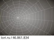 Сoncentric white web on a gray background. Стоковая иллюстрация, иллюстратор Vladislav_v / Фотобанк Лори