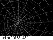 Concentric white web on a gray background. Стоковая иллюстрация, иллюстратор Vladislav_v / Фотобанк Лори