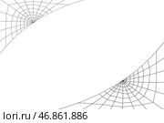 Сoncentric white web on a white background. Стоковая иллюстрация, иллюстратор Vladislav_v / Фотобанк Лори