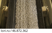 Many small crushed stones on the production line at the construction materials production factory, heavy industry concept. Стоковое фото, фотограф David Kashakhi / Фотобанк Лори