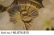 Wedding rings and rose. Стоковое фото, фотограф David Kashakhi / Фотобанк Лори