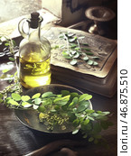 A glass bottle with yellow-green oil, standing on a wooden table by the window. Next to it lies a plate with green leaves and seeds, reminiscent of moringa or another medicinal plant. In the background is an old book with yellowed pages, on which drawings and text are visible, as well as a vintage candlestick. The atmosphere of the scene is reminiscent of an old apothecary or herbalist's workshop, with soft natural light coming through the window. Стоковое AI-изображение, AI-художник Анна Кривицкая / Фотобанк Лори
