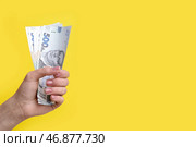 Женщина с банкнотами гривны на желтом фоне. Стоковое фото, фотограф Pixel_shot / Фотобанк Лори