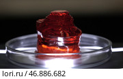 Sample of red mineral on clean glass cup in lab. Стоковое фото, фотограф David Kashakhi / Фотобанк Лори