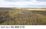 High angle view of a road trough the autumn forest. Стоковое фото, фотограф David Kashakhi / Фотобанк Лори