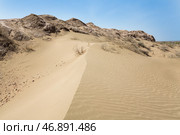 View of the desert in Karakalpakstan (2022 год). Стоковое фото, фотограф Юлия Белоусова / Фотобанк Лори