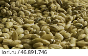 Healthy food concept, a pile of premium Arabica green unroasted coffee beans lying on the flat surface. Стоковое фото, фотограф David Kashakhi / Фотобанк Лори