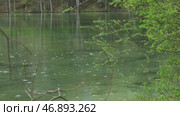 Drops of rain on forest lake. Стоковое видео, видеограф Михаил Коханчиков / Фотобанк Лори
