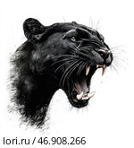 A black panther that growls, showing its sharp fangs and powerful jaw. Its eyes are filled with fury and savagery, and its fur is detailed, conveying the power and grace of this predator. The background is minimalistic, which emphasizes the expressiveness of the panther. The visual style of the image resembles a graphic drawing or digital illustration with elements of artistic processing. Стоковое AI-изображение, AI-художник Анна Кривицкая / Фотобанк Лори
