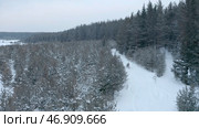 Two snowmobiles are driving along road near forest in winter. Стоковое фото, фотограф David Kashakhi / Фотобанк Лори