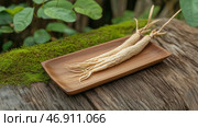 Ginseng roots displayed on a wooden plate surrounded by lush greenery in a natural setting. Стоковое AI-изображение, AI-художник Сергей Толмачёв / Фотобанк Лори