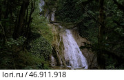 Jungles with green trees and a waterfall on a summer day. Стоковое фото, фотограф David Kashakhi / Фотобанк Лори