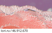 Extreme close up of beautiful pink rose petals in clear crystalline water with bubbles. Стоковое фото, фотограф David Kashakhi / Фотобанк Лори