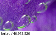 Flower with bubbles under water on isolated background. Стоковое фото, фотограф David Kashakhi / Фотобанк Лори