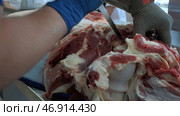 Raw meat is separated from bones by specially trained people in suits. Стоковое фото, фотограф David Kashakhi / Фотобанк Лори