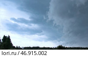Green forest trees stagger from wind in cloudy weather. Стоковое фото, фотограф David Kashakhi / Фотобанк Лори