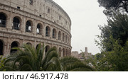 Action.A huge colosseum made of white stone with green plants growing nearby against the blue sky (2022 год). Редакционное фото, фотограф David Kashakhi / Фотобанк Лори