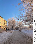 Зимний пейзаж: Деревья в инее в Орске. Стоковое фото, фотограф Николай Рыбин / Фотобанк Лори