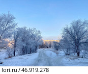 Зимний пейзаж: Деревья в инее в Орске. Стоковое фото, фотограф Николай Рыбин / Фотобанк Лори