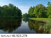 View of the Central Rosovopavilionny pond in the landscape part of the Pavlovsky Park Parade Field on a sunny summer day, Pavlovsk, St. Petersburg, Russia. Стоковое фото, фотограф Ula Ulachka / Фотобанк Лори