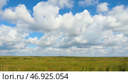 Green field summer landscape, timelapse. Стоковое фото, фотограф David Kashakhi / Фотобанк Лори
