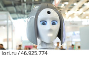 Robotic of a human like droid robot. Стоковое фото, фотограф David Kashakhi / Фотобанк Лори