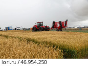 Kaliningrad, RUSSIA - July 29, 2022: Agricultural Exhibition. Редакционное фото, фотограф Ольга Сейфутдинова / Фотобанк Лори