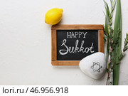 Доска с текстом HAPPY SUKKOT и символикой фестиваля на светлом фоне. Стоковое фото, фотограф Pixel_shot / Фотобанк Лори