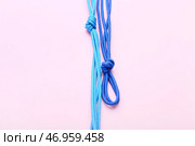 Синие шнурки, завязанные узлами на розовом фоне, крупным планом. Стоковое фото, фотограф Pixel_shot / Фотобанк Лори