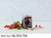 Баночка вкусного брусничного варенья и ягод на белом фоне. Стоковое фото, фотограф Pixel_shot / Фотобанк Лори