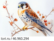 A falcon (or kestrel) gracefully sitting on a thin branch with dried berries. The bird has elegant plumage with shades of brown, red, black and gray, and its sharp gaze expresses attention and vigilance. The background is made in a minimalist style with a predominance of white, which gives the picture airiness and sophistication. The work is done in watercolor technique, which creates soft color transitions and a feeling of lightness. Стоковое AI-изображение, AI-художник Анна Кривицкая / Фотобанк Лори