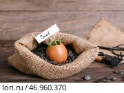 Тег со словом SEED и молодые растения в яичной скорлупе на деревянном фоне. Стоковое фото, фотограф Pixel_shot / Фотобанк Лори
