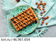 Тарелка с вкусными бельгийскими вафлями, шоколадным соусом и орехами на светлом фоне. Стоковое фото, фотограф Pixel_shot / Фотобанк Лори