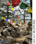Tibetan prayer flags on the hill in Dharamkot village near Dharamshala, India. Стоковое фото, фотограф Лариса Потехина / Фотобанк Лори