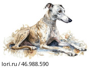 An elegant greyhound, depicted in an artistic style reminiscent of a watercolor illustration. The dog lies in a graceful pose, its long graceful legs are stretched out, and its gaze is focused and noble. It is adorned with a luxurious lace collar with decorative elements, which emphasizes its aristocratic image. The background consists of subtle, graceful floral patterns in pastel colors, which smoothly intertwine with the image of the dog, creating an effect of sophistication and harmony. The whole composition conveys a sense of sophistication, tranquility and grandeur. Стоковое AI-изображение, AI-художник Анна Кривицкая / Фотобанк Лори