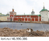 Николо-Пешношский монастырь с замерзлым прудом и котом на фоне архитектурного памятника. Стоковое фото, фотограф Сергей Никифоров-Гордеев / Фотобанк Лори