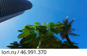 Ground angle of blue sky with tall buildings around. Стоковое фото, фотограф David Kashakhi / Фотобанк Лори