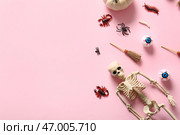 Хэллоуинская композиция с конфетными насекомыми, скелетом и метлами на розовом фоне. Стоковое фото, фотограф Pixel_shot / Фотобанк Лори