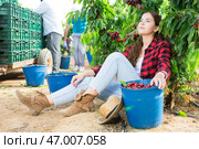 Young female farmer resting during harvest of sweet cherries. Стоковое фото, фотограф Яков Филимонов / Фотобанк Лори