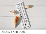 Термометр для измерения погоды с ракушками на светлом деревянном фоне. Стоковое фото, фотограф Pixel_shot / Фотобанк Лори