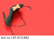 Туфли на высоком каблуке с лейкопластырями и колючей проволокой на красном фоне. Концепция неудобных туфель. Стоковое фото, фотограф Pixel_shot / Фотобанк Лори