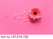 Гормональные таблетки и цветок на розовом фоне. Стоковое фото, фотограф Pixel_shot / Фотобанк Лори