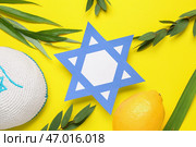 Четыре вида растений (лулав, хадас, арава, этрог) как символы праздника Суккот и звезда Давида из бумаги на желтом фоне. Стоковое фото, фотограф Pixel_shot / Фотобанк Лори