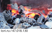 Smoldering hot coals on grill before cooking. Стоковое фото, фотограф David Kashakhi / Фотобанк Лори